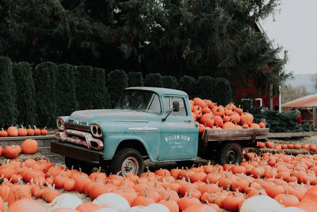 An old truck parked in a pumpkin-filled field, capturing the essence of fall. Get ready to celebrate autumn with the a lost of the Best Fall Festivals Across America from XTRAVL. Photo by Priscilla Du Preez via Unsplash.